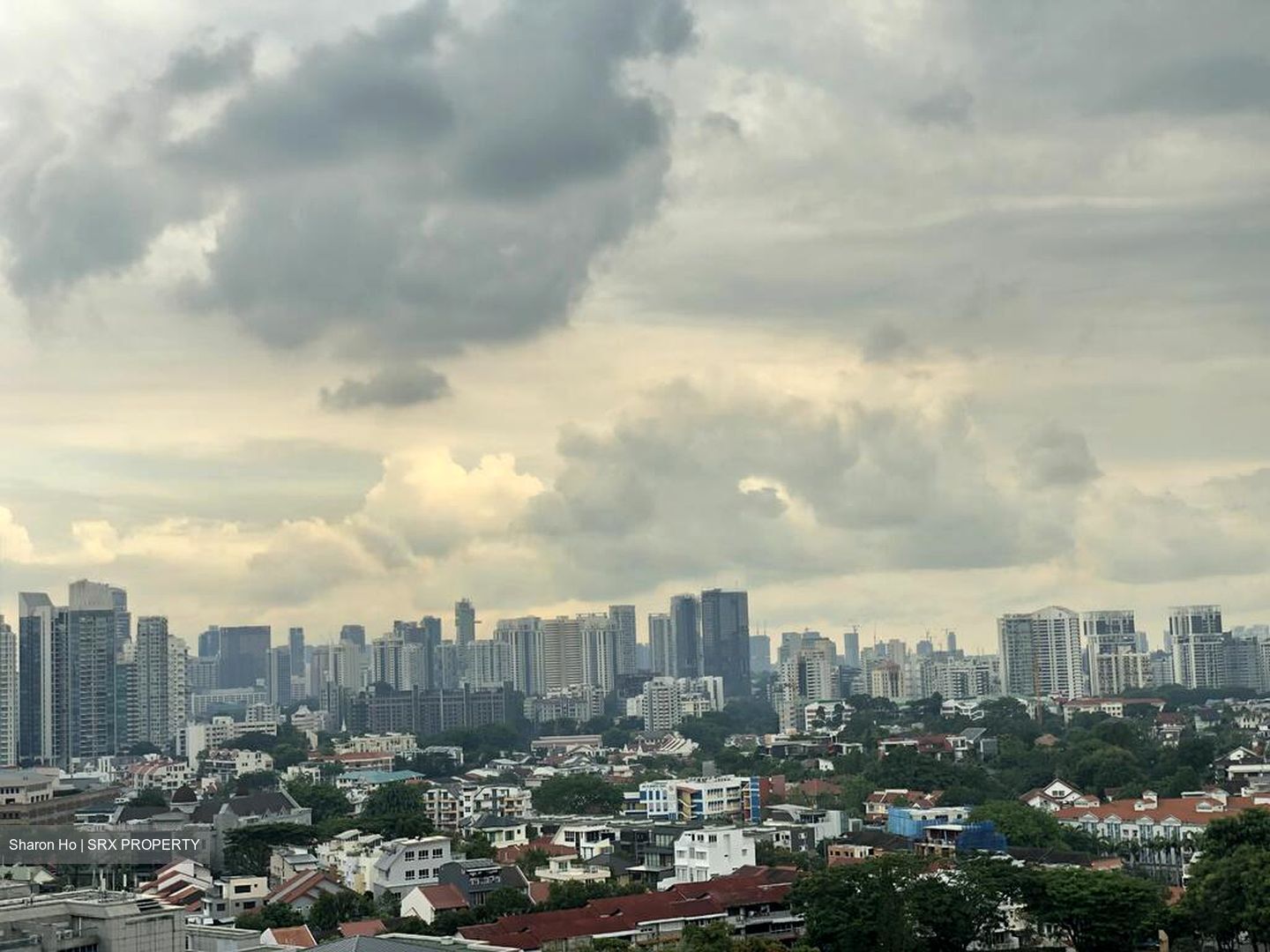 Domus (D12), Apartment #499404981